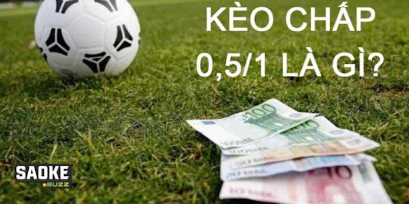 Kèo chấp 0.5/1 là gì áp dụng ở những trận đấu chênh lệch rõ rệt Kèo chấp 0.5/1 là gì áp dụng ở những trận đấu chênh lệch rõ rệt